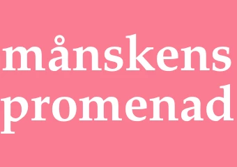 Synonym månskenspromenad