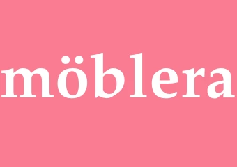 Synonym möblera