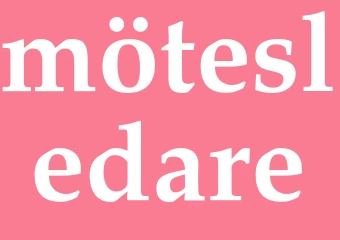 Synonym mötesledare