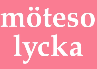 Synonym mötesolycka