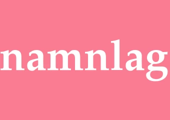 Synonym namnlag