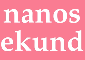 Synonym nanosekund