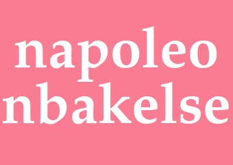 Synonym napoleonbakelse
