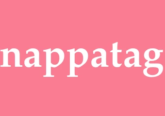 Synonym nappatag