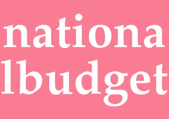 Synonym nationalbudget