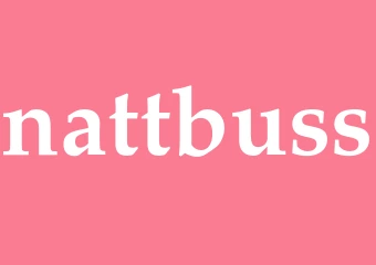 Synonym nattbuss