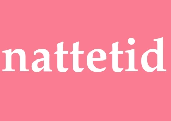 Synonym nattetid