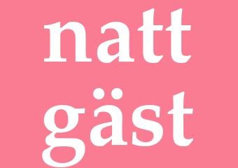 Synonym nattgäst