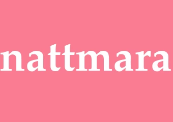 Synonym nattmara