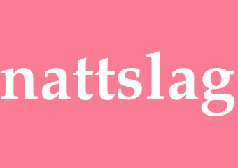 Synonym nattslag