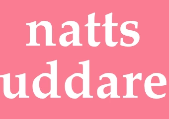 Synonym nattsuddare