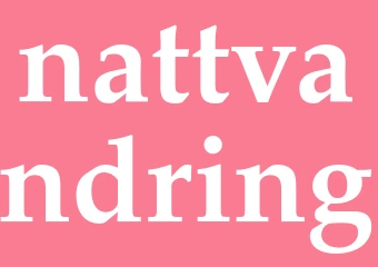 Synonym nattvandring