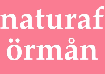 Synonym naturaförmån