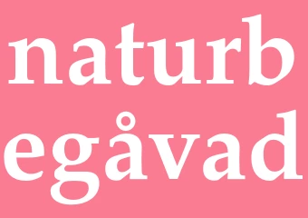 Synonym naturbegåvad