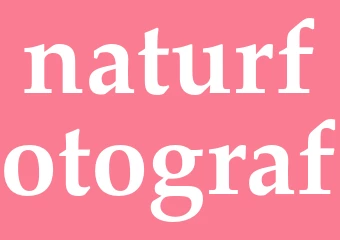 Synonym naturfotograf