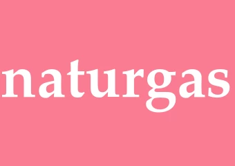 Synonym naturgas