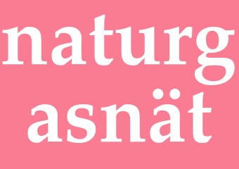 Synonym naturgasnät
