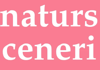 Synonym natursceneri