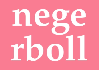 Synonym negerboll