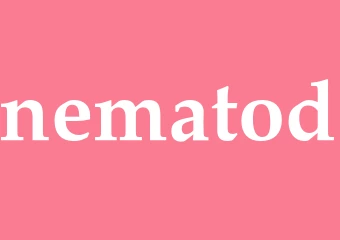 Synonym nematod