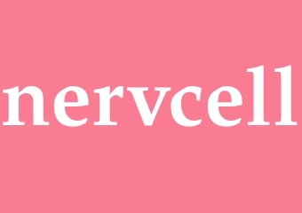 Synonym nervcell