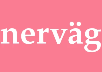 Synonym nerväg