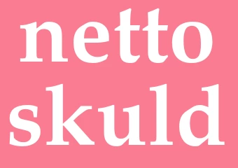 Synonym nettoskuld
