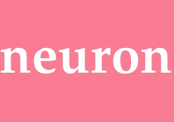 Synonym neuron
