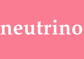 Synonym neutrino