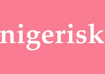 Synonym nigerisk