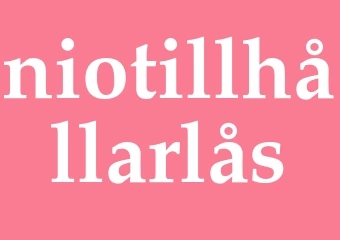 Synonym niotillhållarlås