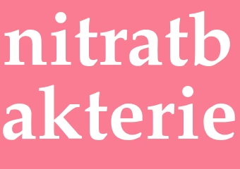Synonym nitratbakterie