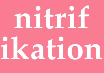 Synonym nitrifikation