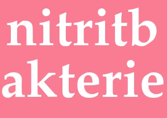 Synonym nitritbakterie