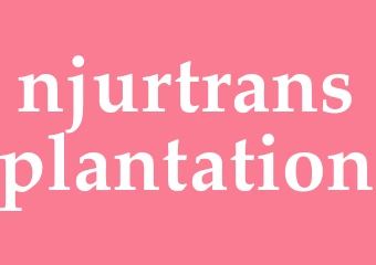 Synonym njurtransplantation