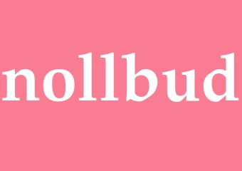 Synonym nollbud