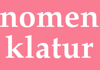 Synonym nomenklatur