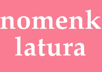 Synonym nomenklatura