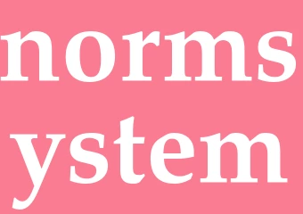 Synonym normsystem