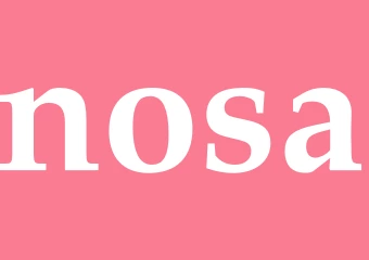 Synonym nosa