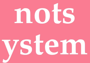 Synonym notsystem