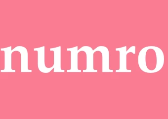 Synonym numro