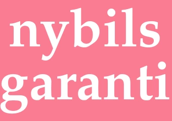 Synonym nybilsgaranti