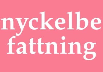 Synonym nyckelbefattning