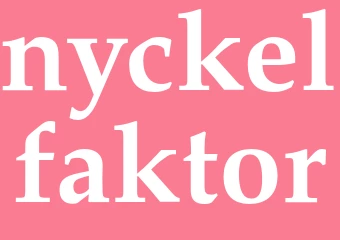 Synonym nyckelfaktor