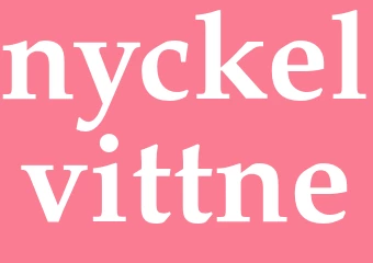 Synonym nyckelvittne