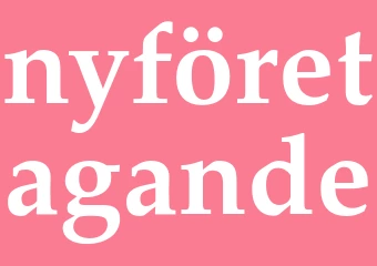 Synonym nyföretagande