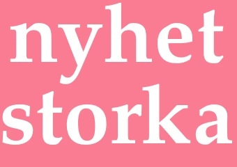 Synonym nyhetstorka