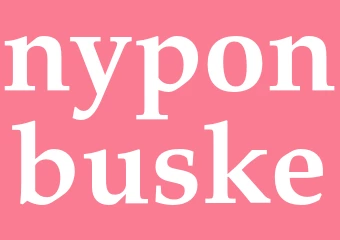 Synonym nyponbuske