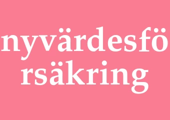 Synonym nyvärdesförsäkring